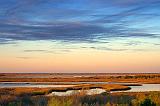 Wetlands At Sunrise_29646